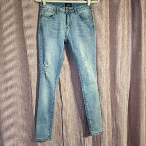 Allee Light Wash Distressed Skinny Jeans, Size 26
